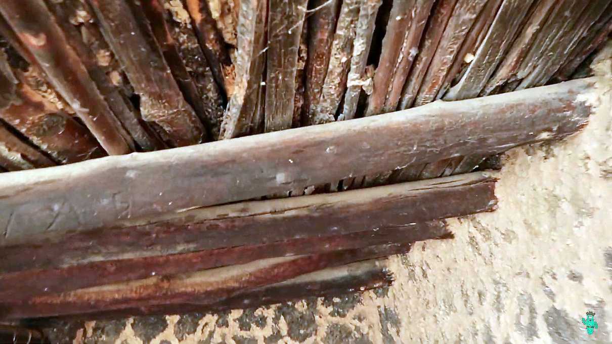 An original wooden ceiling at Tonto National Monument Upper Ruin