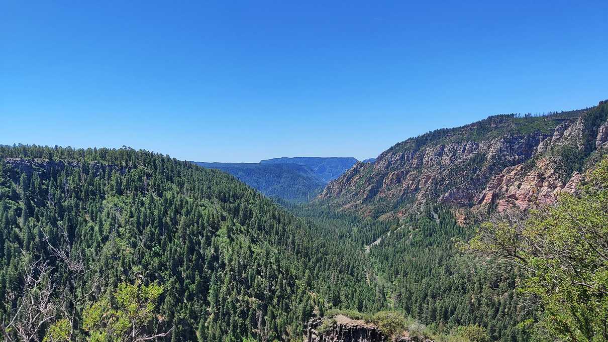 Valley stretching in the distance covered in ponderosa pines