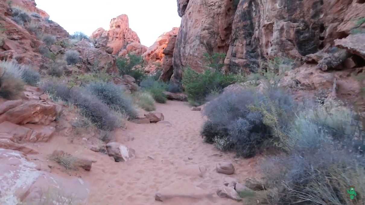 A view of the sandy trail at Mouse's Tank