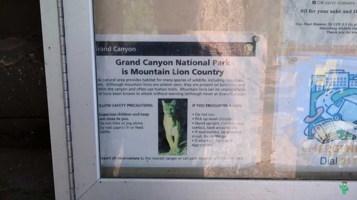 A sign warning of mountain ions at Grand Canyon National Park