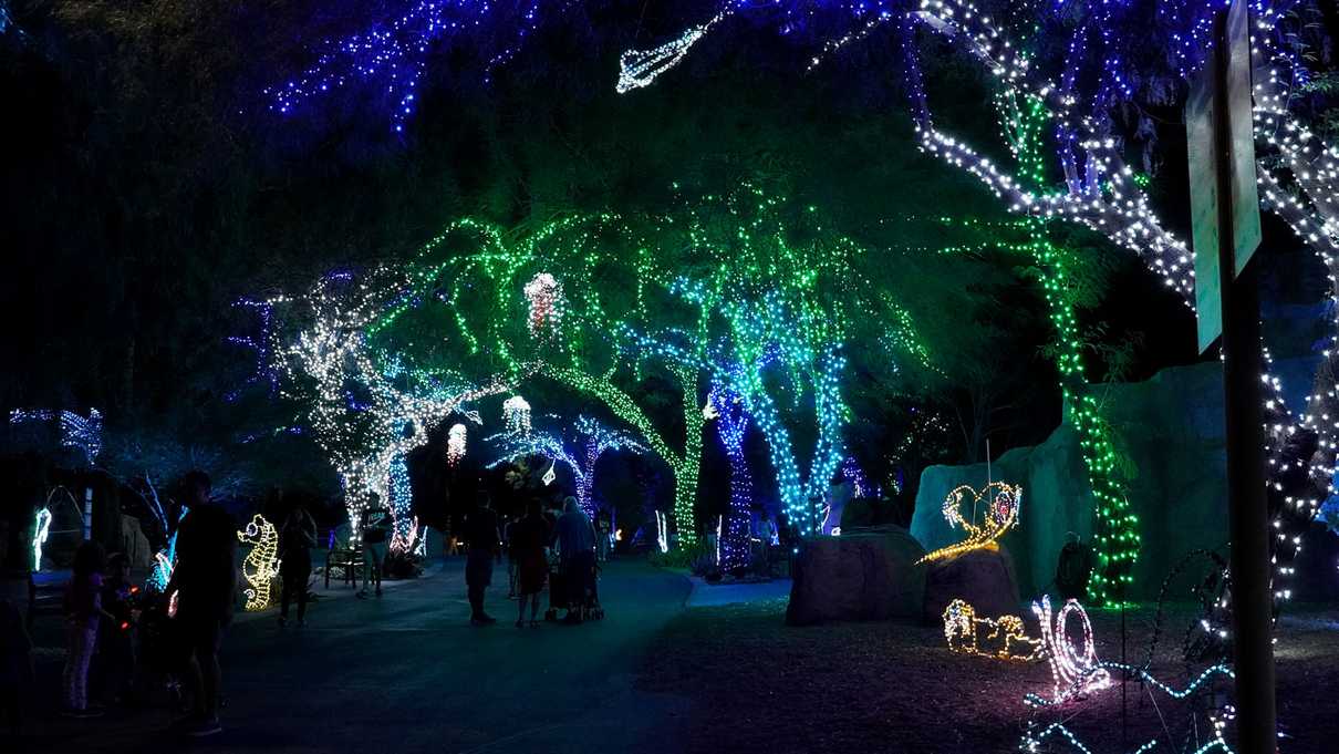 A typical scene at Phoenix Zoo ZooLights