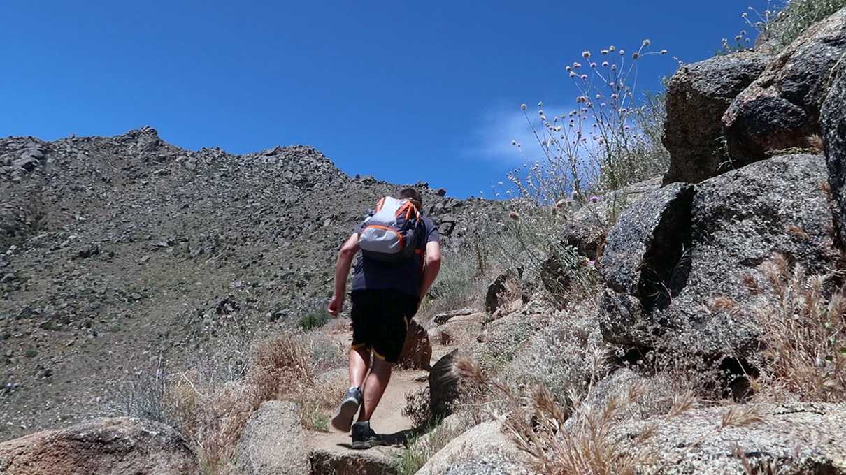 Typical terrain on the Hotshots Memorial Trail