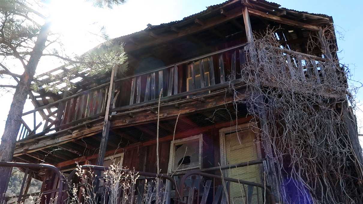 Old wooden boarding house overgrown with dried vines