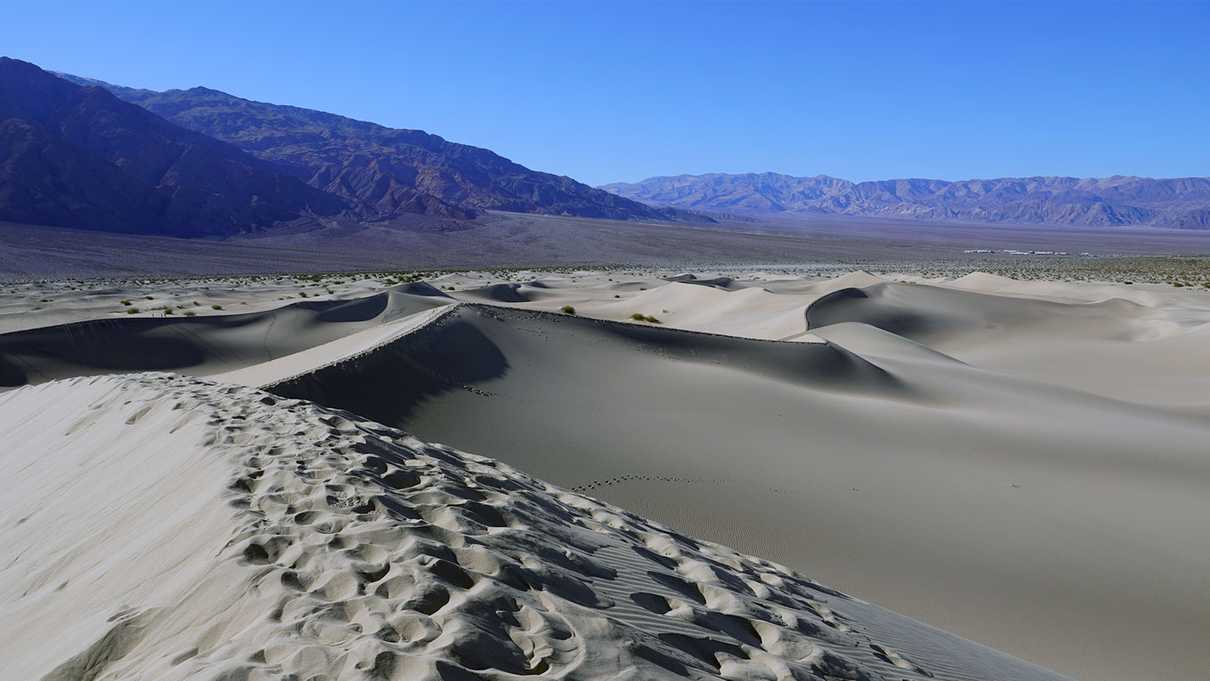 Footprints lead away along ridge line of sand dune