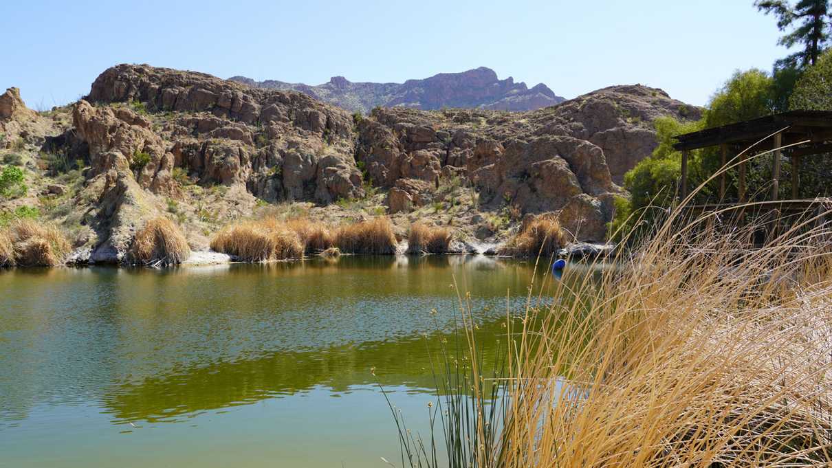 Edge of lake with rising mountains in background