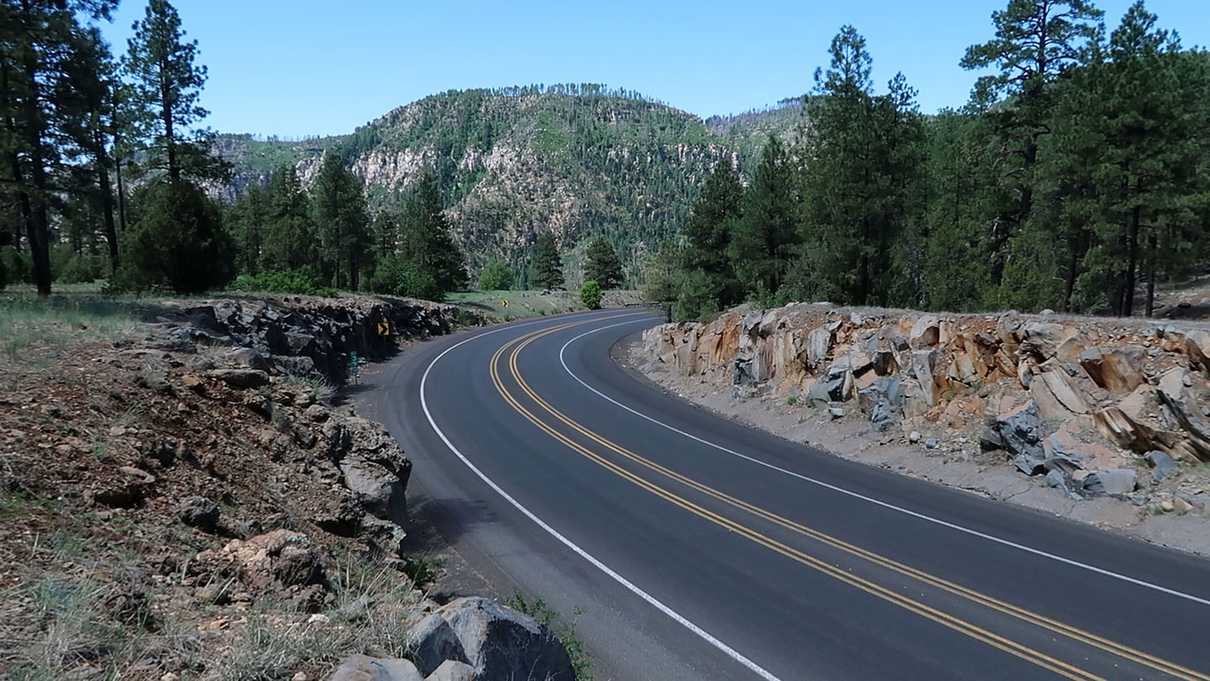 Road curves to the right flanked by ponderosa pines