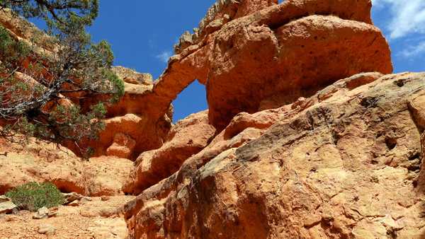 Red rock arch with blue sky in the background