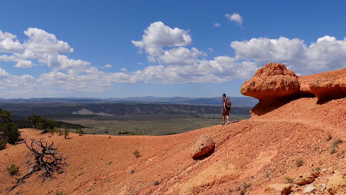 Hiker walks on a red rock trail to the precipice above a green valley below