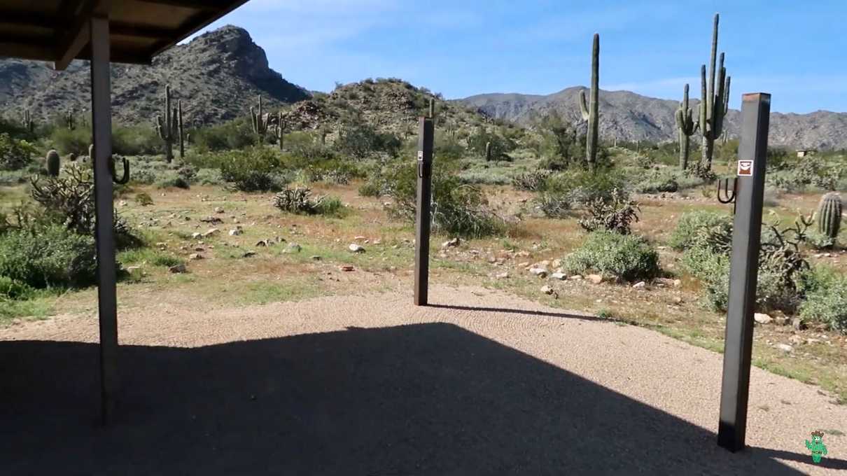 Hammock posts on one of the campsites at Willow Campground