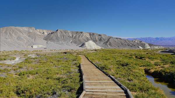 Raised boardwalk wanders through grassy area of Death Valley