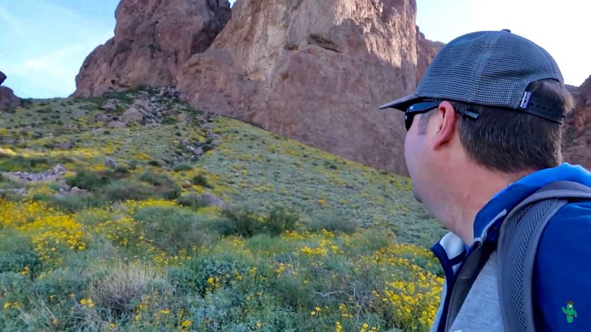 Looking at wildflowers off the Siphon Draw Trail