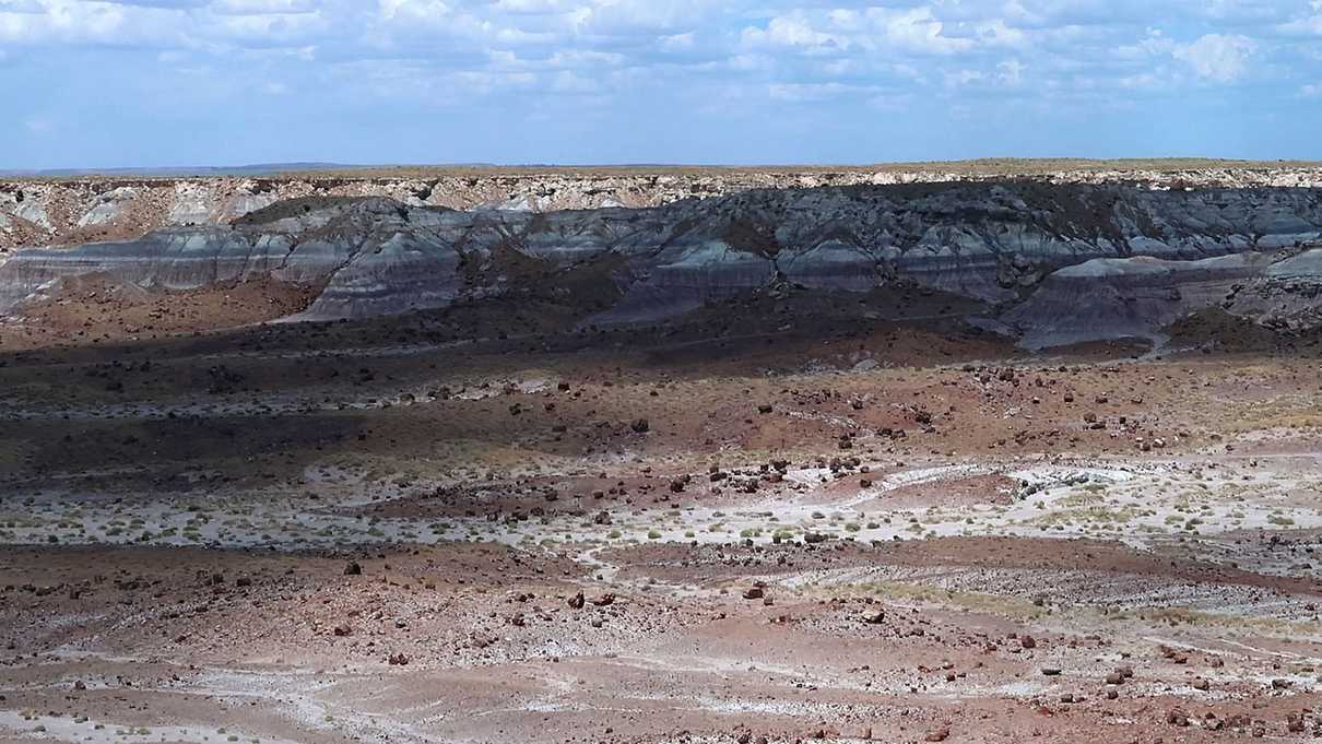 Valley with petrified logs scattered about