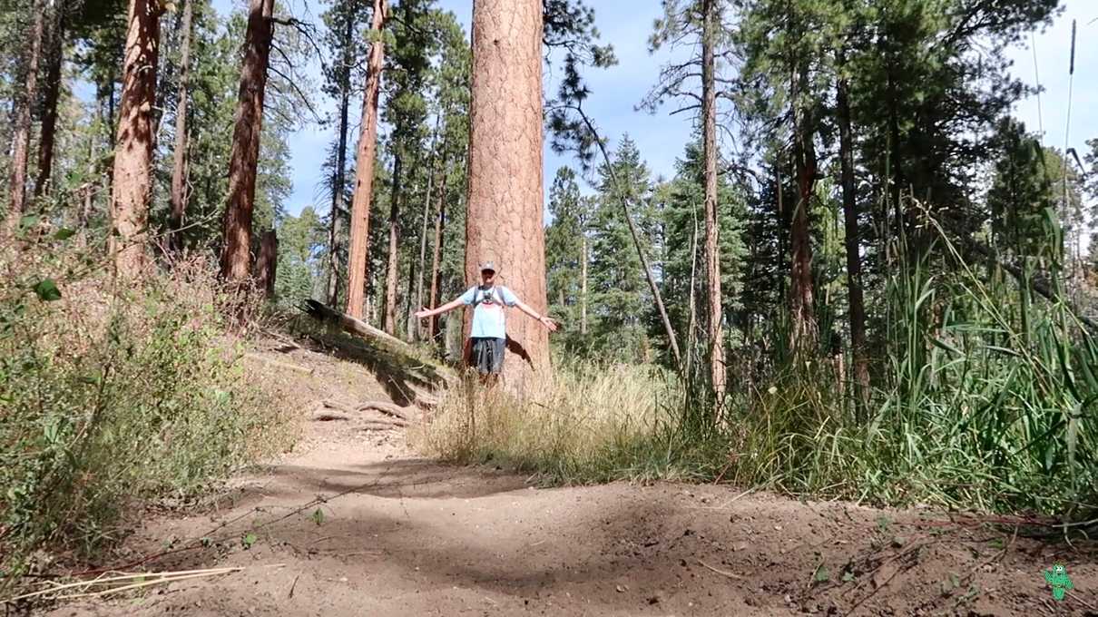 Standing amongst the large ponderosa pines on the Uncle Jim trail