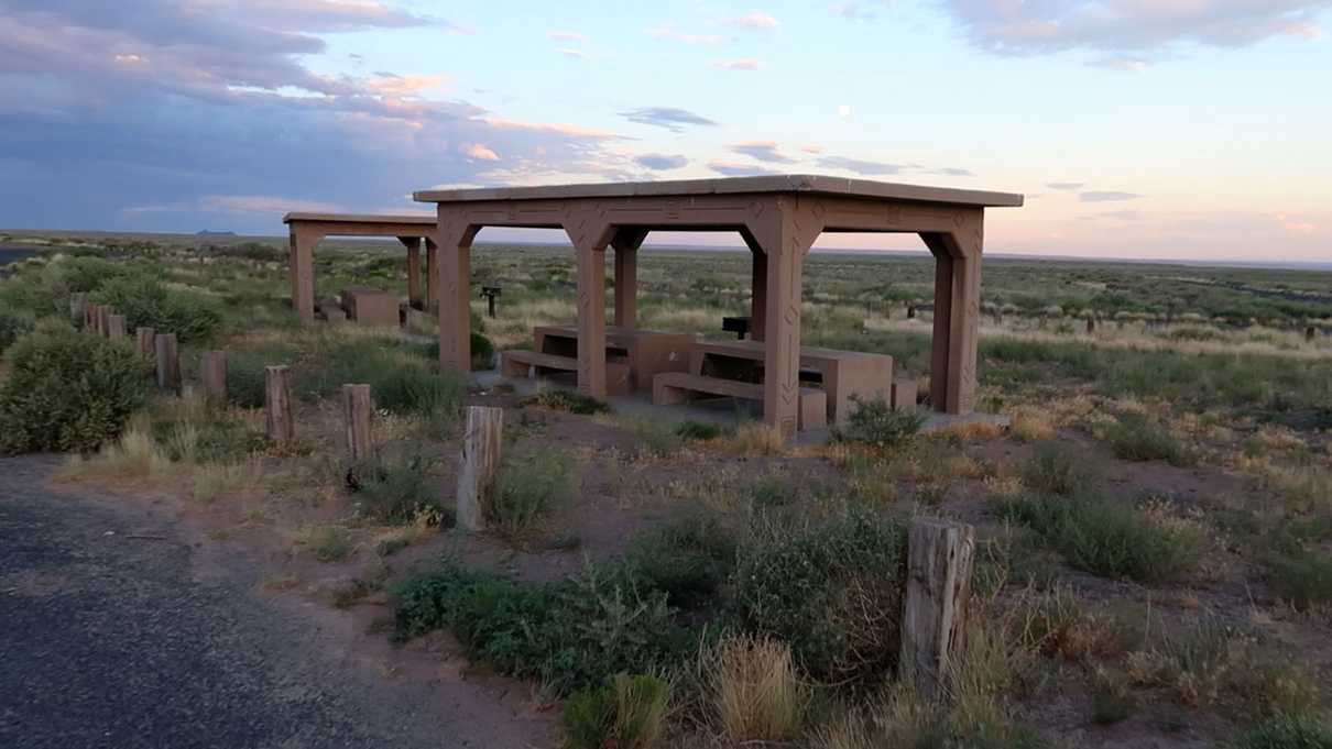 Concrete picnic tables surrounded by brush and weeds