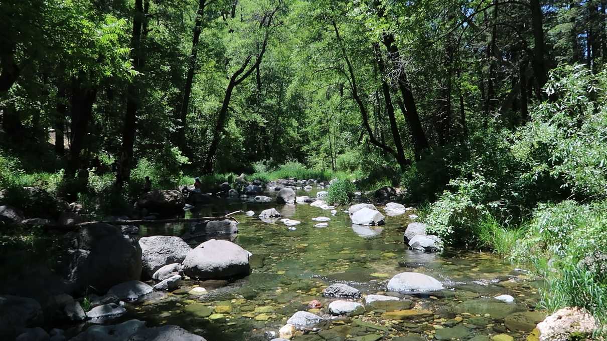 Rocks stand out in a flowing stream under a canopy of trees