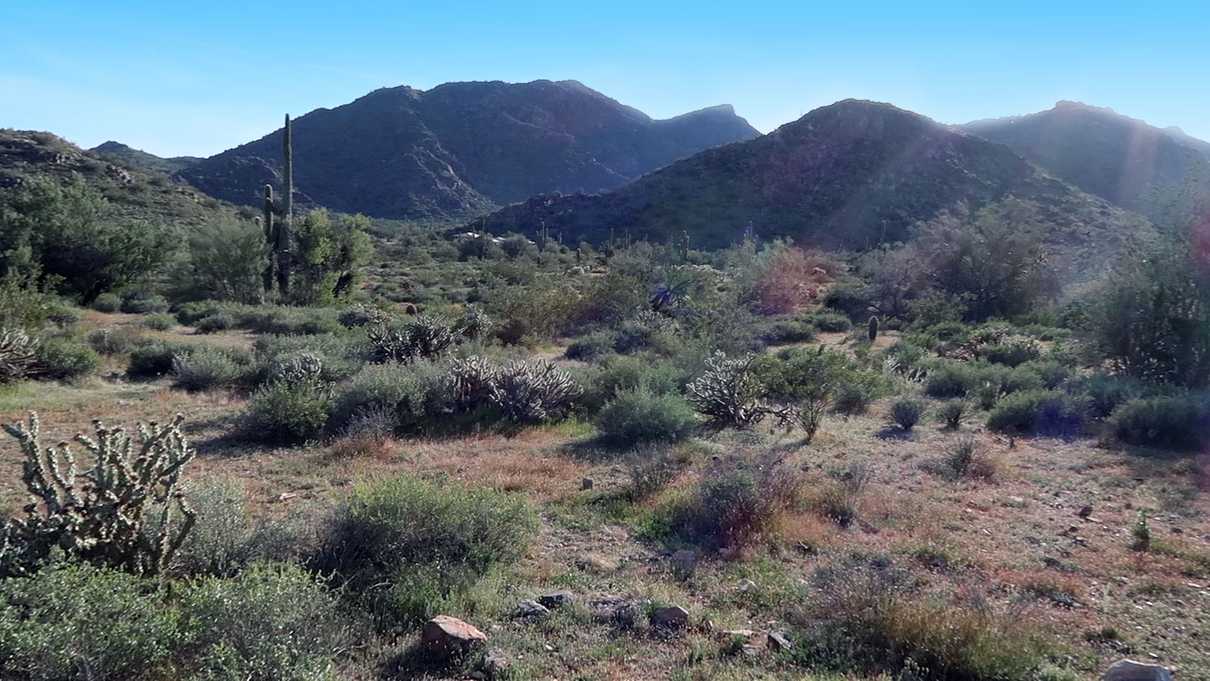 The view from my campsite at Willow Campground