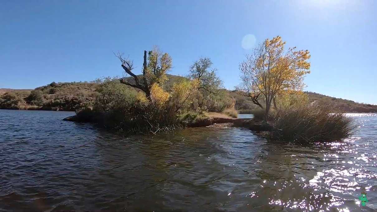 A view of campsite 119 at Patagonia Lake State Park