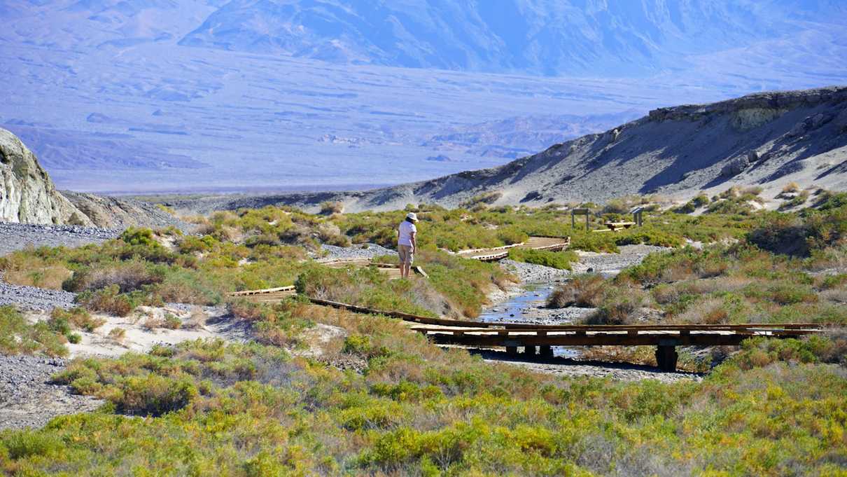 Distant woman peers at Salt Creek from interpretive trail