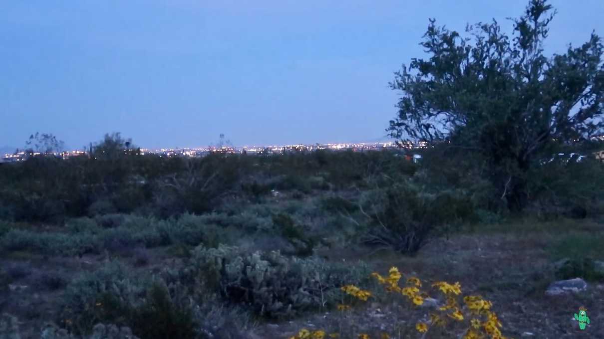 The lights of Phoenix at night, seen from my campsite at Willow Campground.