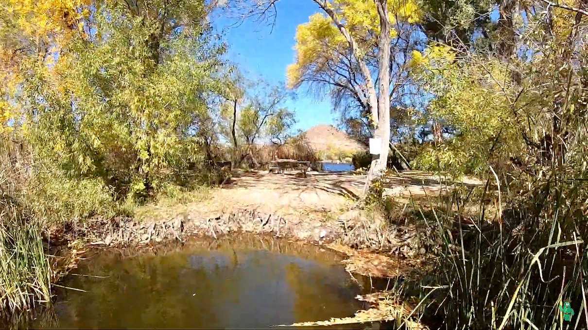 Site 120, a large private island at Patagonia Lake State Park