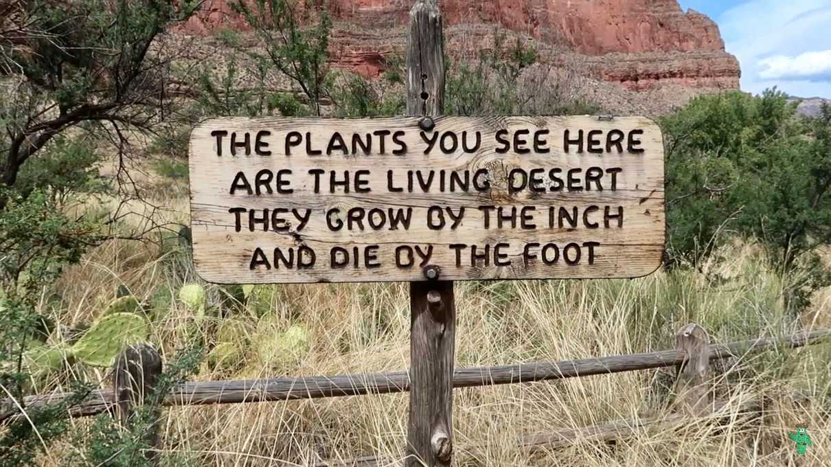 A sign pointing out the desert flora deep in the canyon off the Bright Angel Trail