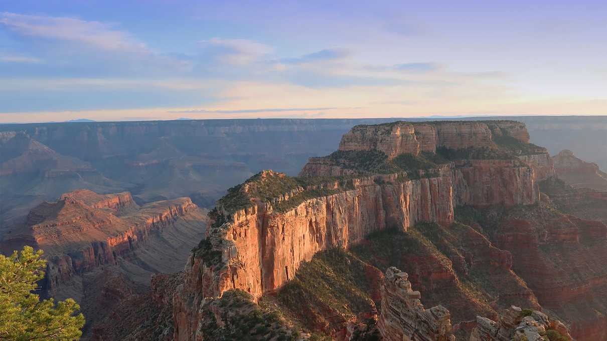 A View of the Grand Canyon from the North Rim