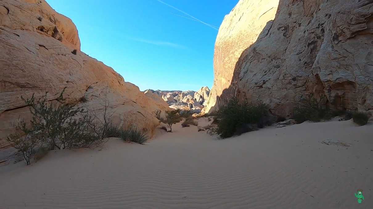 Waves in the sand on the White Domes Loop Trail.