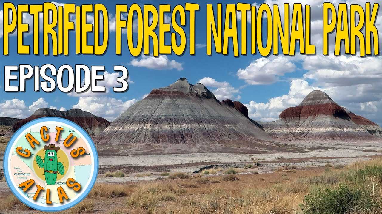 Johnny Ringo Grave Hours, Prices, Directions and Information Cactus