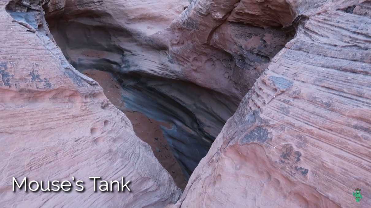 The dry tank at Mouse's Tank