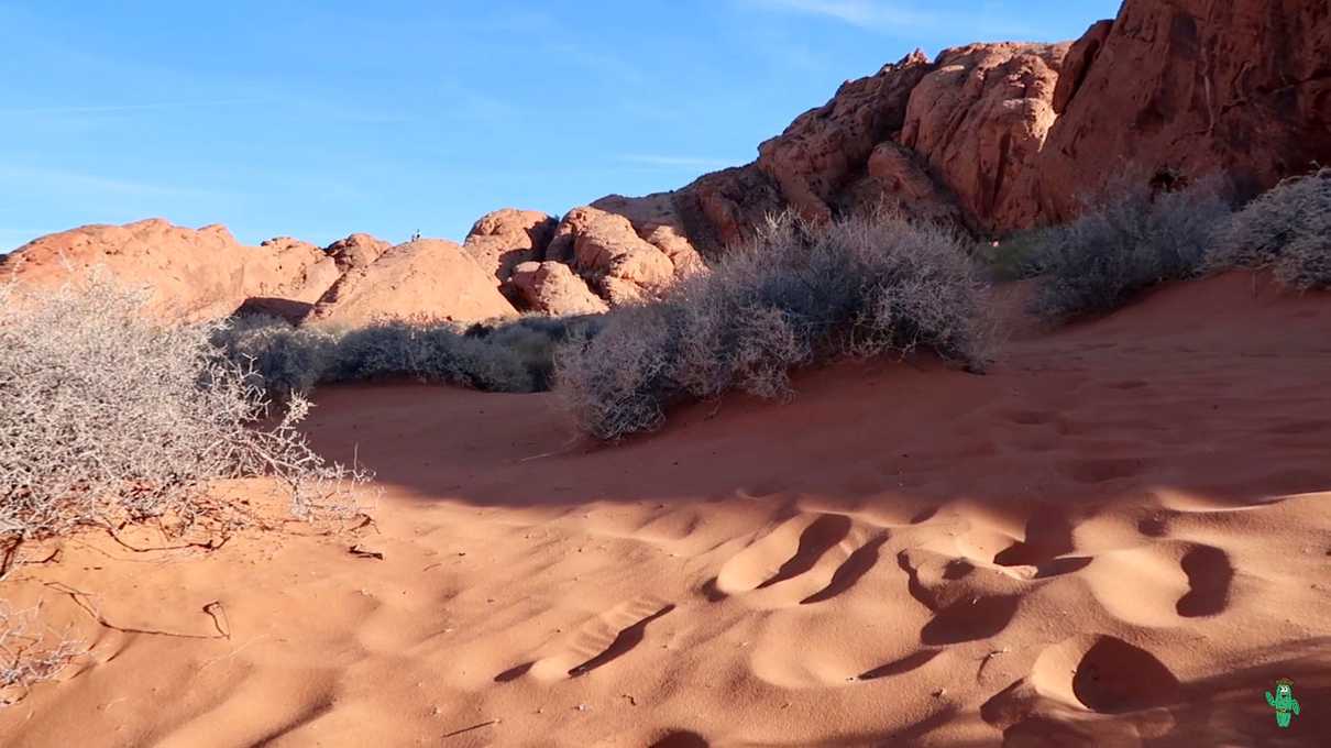 Deep and fine sand present at Rainbow Vista