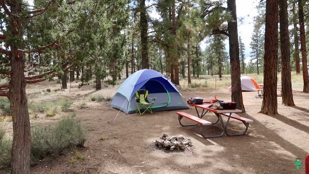 My campsite, site 8, at Ruby's Inn RV Park and Campground