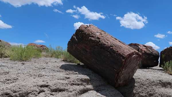 Petrified Log at Petrified Forest National Park