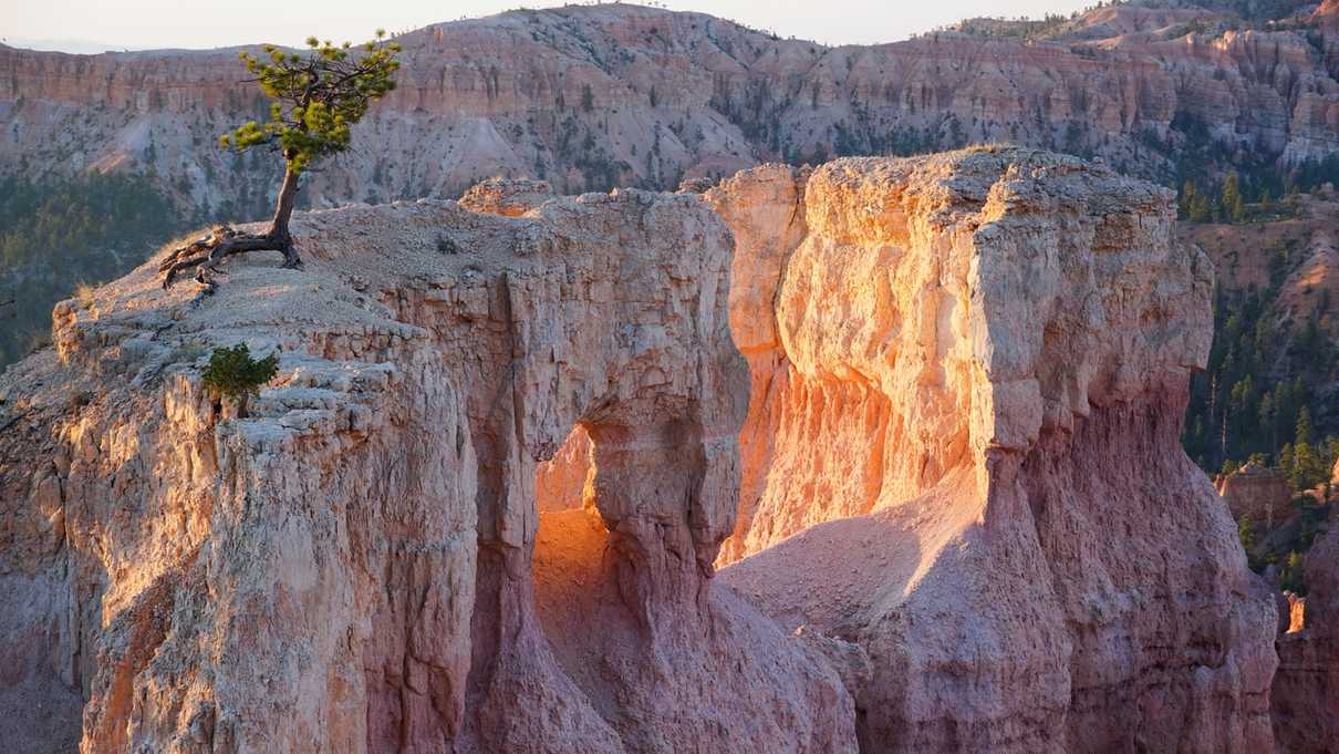 Red-colored rock spires and green trees rise out from the valley below