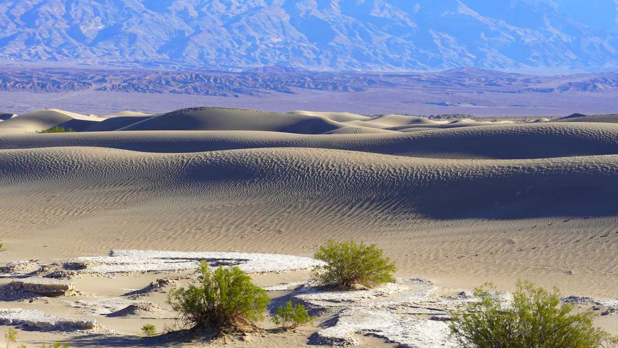 Exposed crusty clay bed of sand dune area