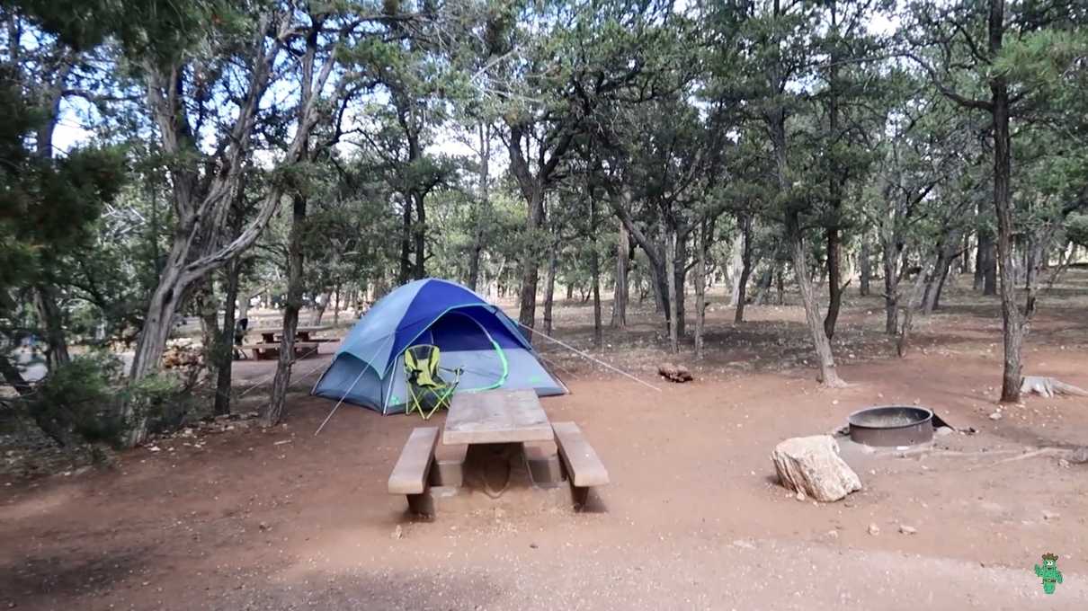 A view of my campsite, site 242, at Mather Campground