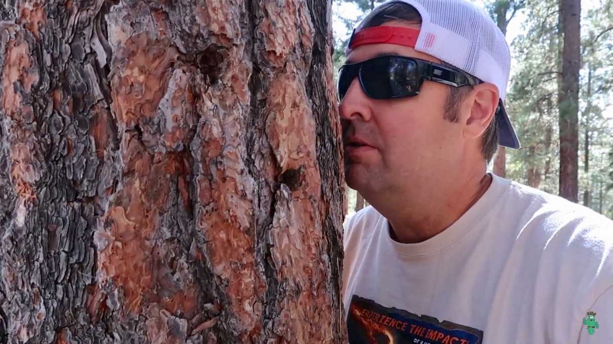 Me, smelling a ponderosa pine tree at the North Rim Campground.