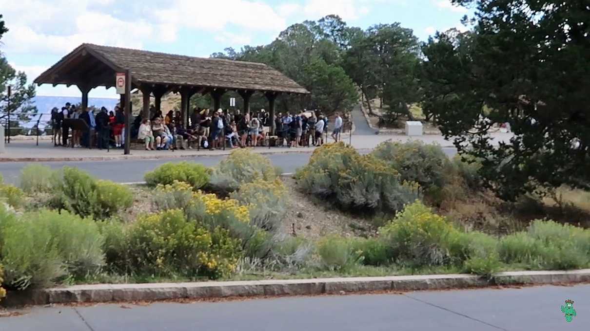 Crowds starting to form in the morning at the red line shuttle stop to Hermit's Rest