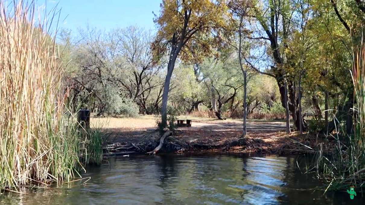 A view of boat-in campsite 111 at Patagonia Lake State Park