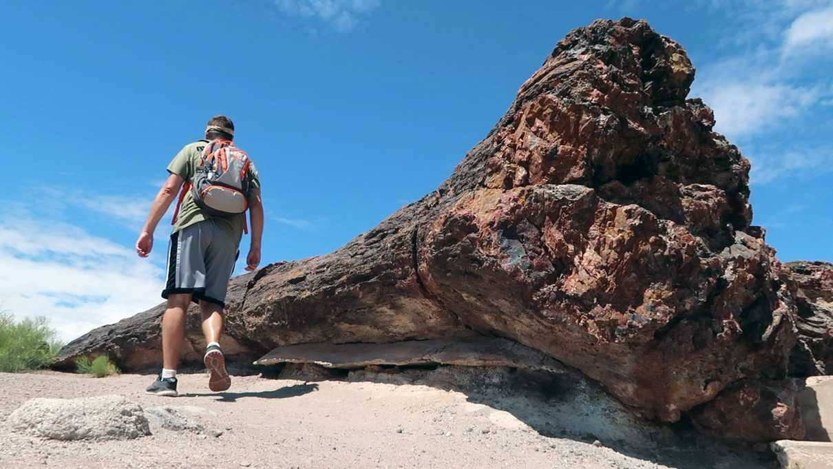 Me walking next to Old Faithful at Petrified Forest National Park