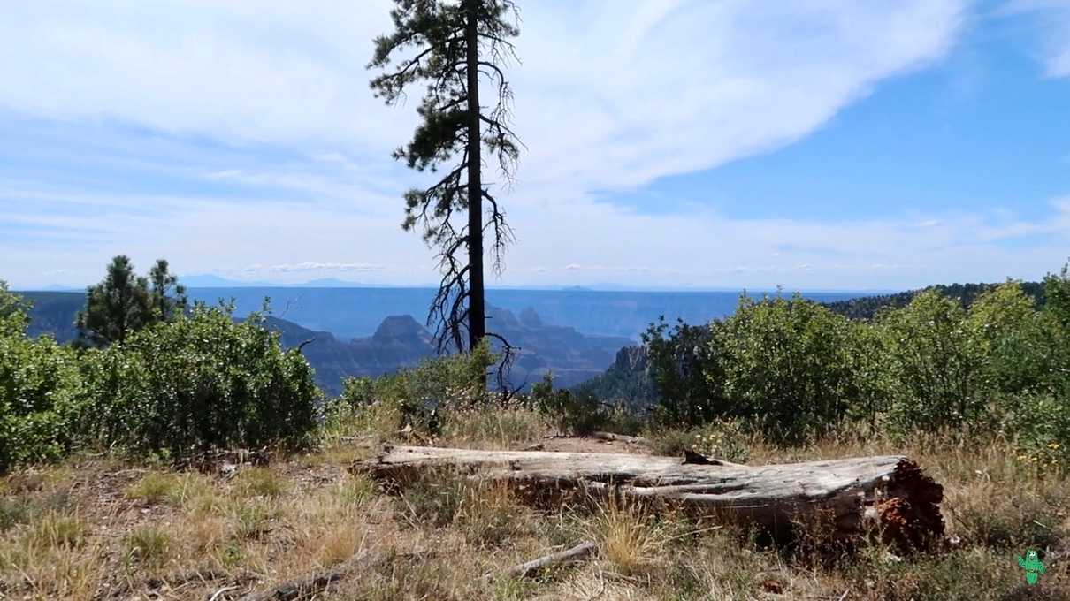 First glimpse of the canyon off the Uncle Jim Trail