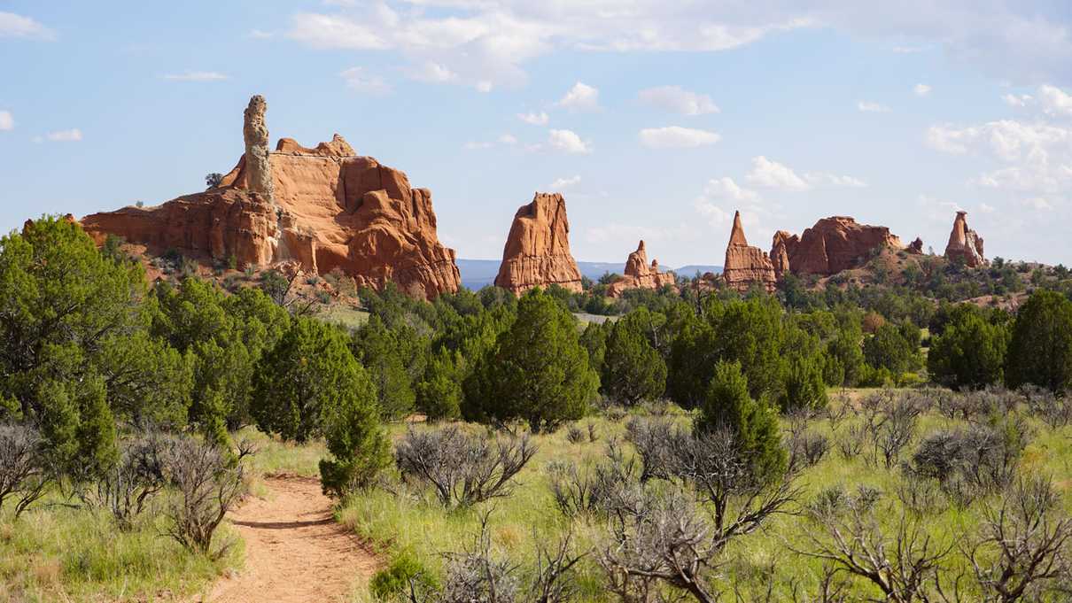 Trail leads through trees and grass to red rock spires