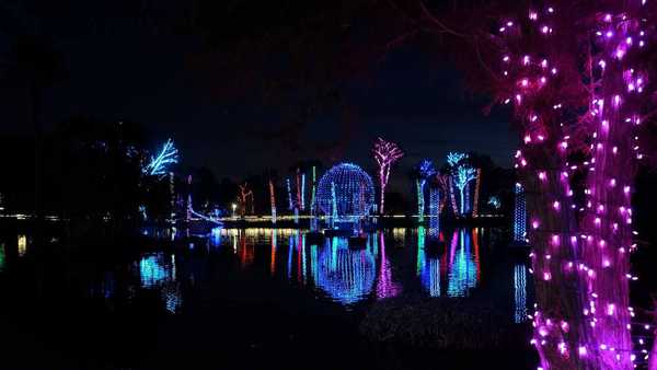 2020 Zoo Lights at the Phoenix Zoo