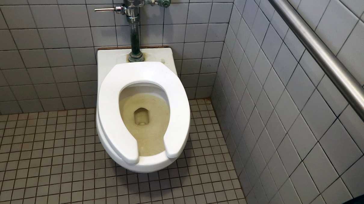 Brown water in toilet - but not why you think!
