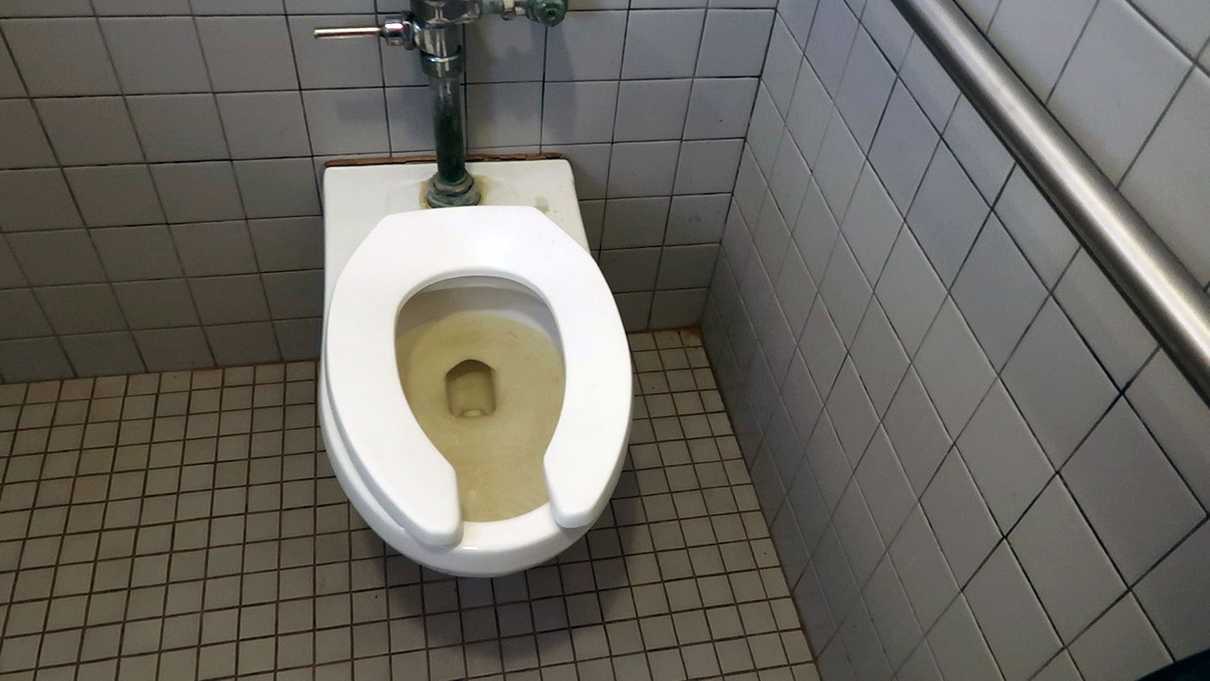 Brown water in toilet - but not why you think!